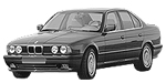 BMW E34 P0447 Fault Code