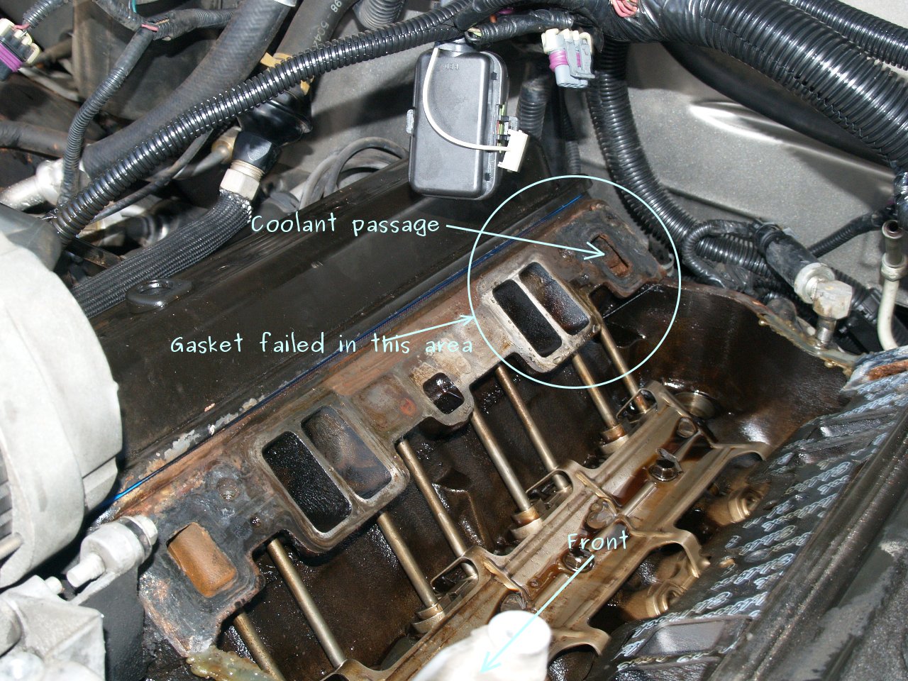 See P0447 in engine